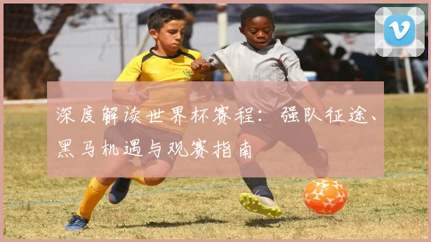 深度解读世界杯赛程：强队征途、黑马机遇与观赛指南