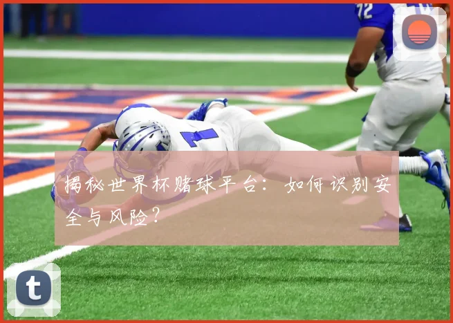 揭秘世界杯赌球平台:如何识别安全与风险?