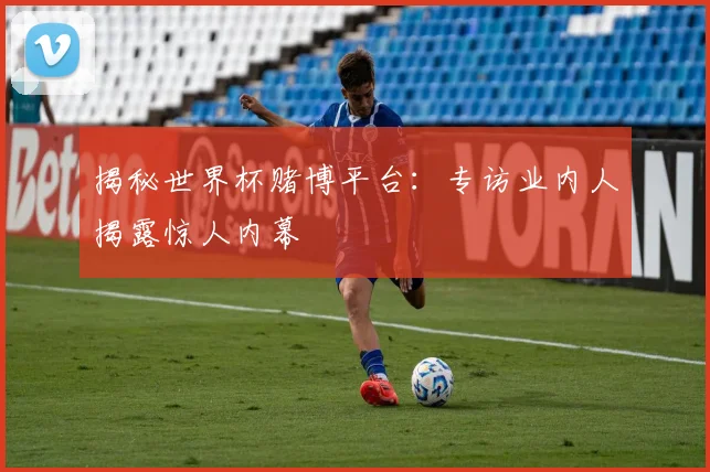 揭秘世界杯赌博平台:专访业内人揭露惊人内幕