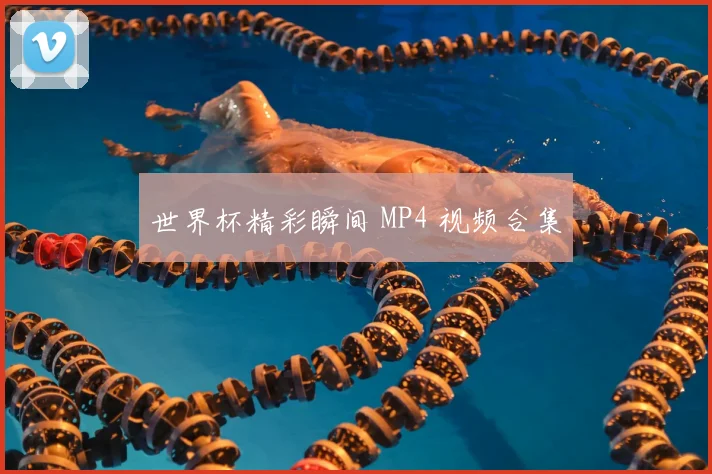 世界杯精彩瞬间 MP4 视频合集
