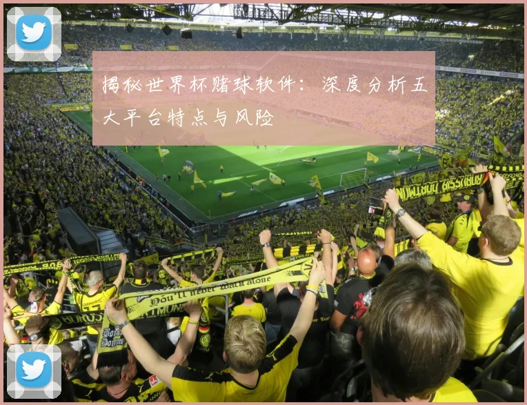 揭秘世界杯赌球软件：深度分析五大平台特点与风险