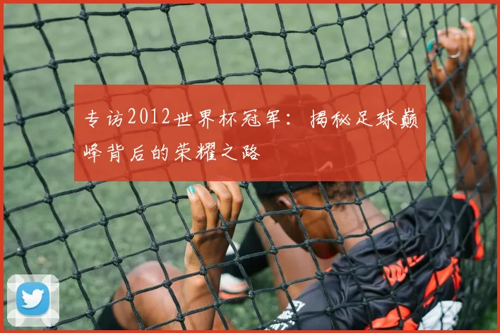 专访2012世界杯冠军：揭秘足球巅峰背后的荣耀之路