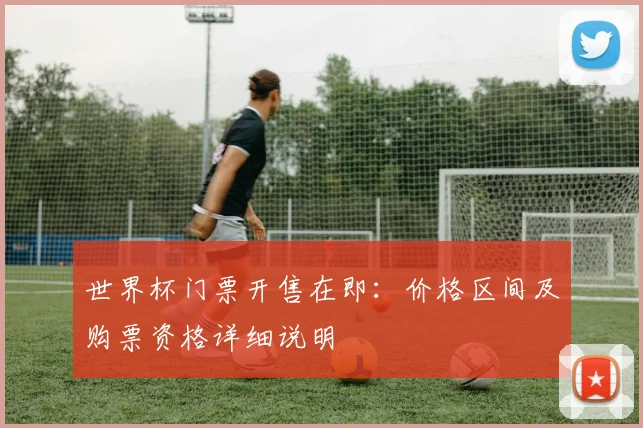 世界杯门票开售在即:价格区间及购票资格详细说明