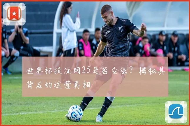 世界杯投注网25是否合法?揭秘其背后的运营真相