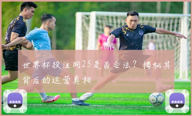 世界杯投注网25是否合法?揭秘其背后的运营真相
